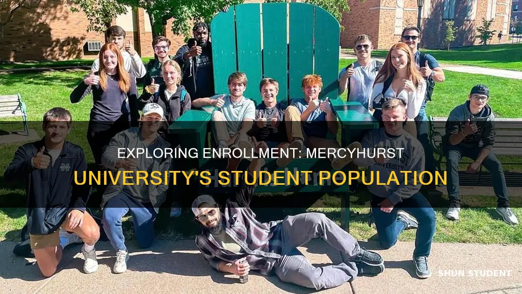 how many students attend mercyhurst university