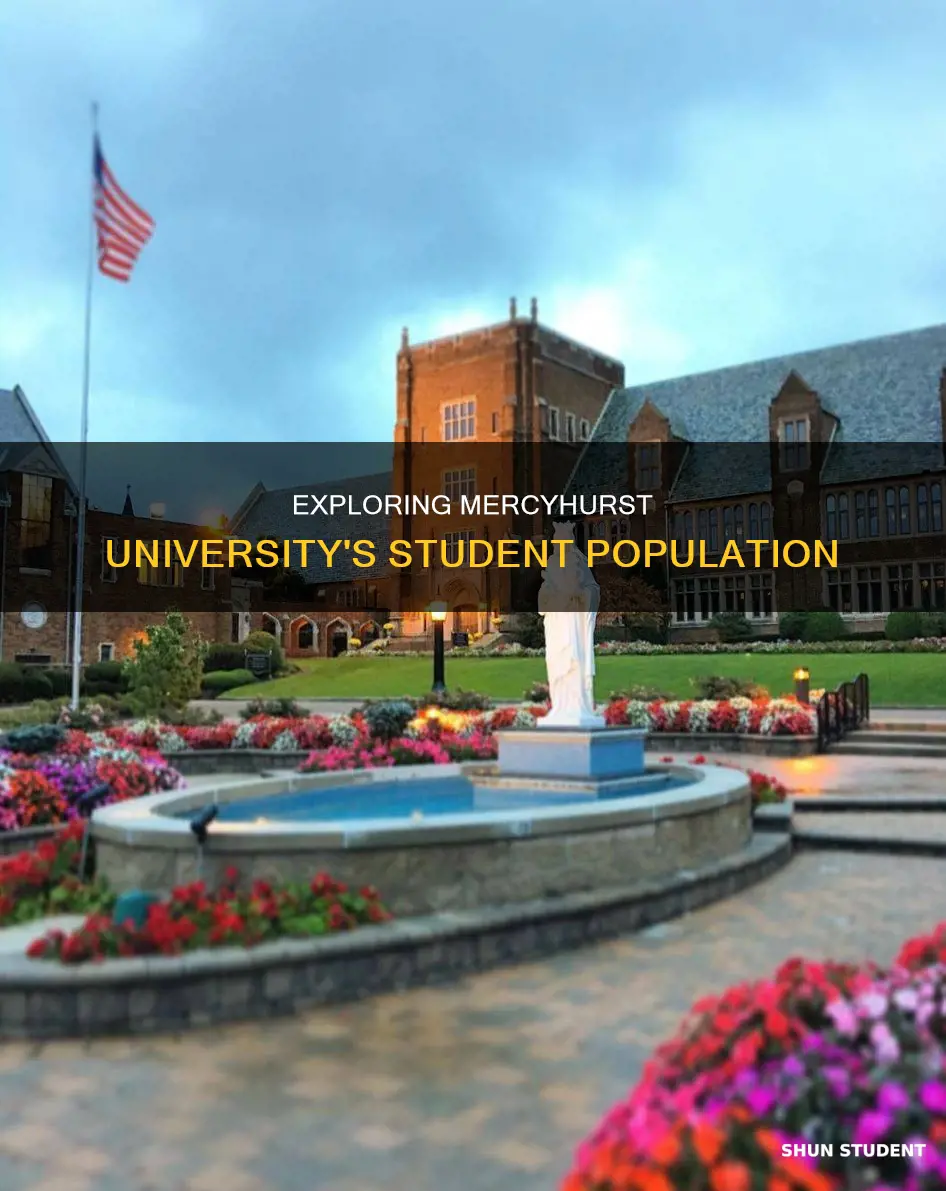 how many students attend mercyhurst university