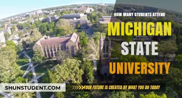 Exploring Enrollment: Michigan State University's Student Population