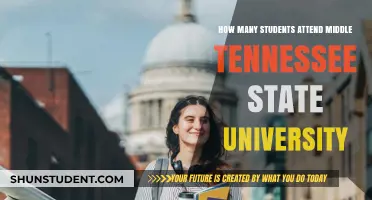 Exploring Middle Tennessee State University's Student Population