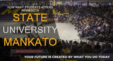 Minnesota State University Mankato: Student Population Insights