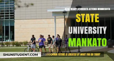 Minnesota State University Mankato: Student Population Insights