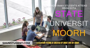 Minnesota State University Moorhead: Student Population Insights