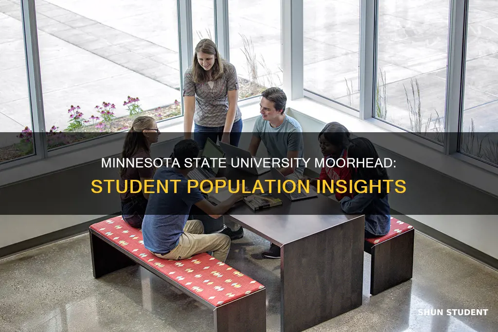 how many students attend minnesota state university moorhead