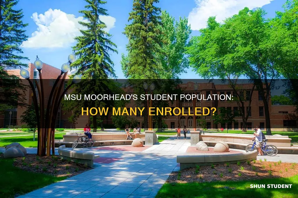 how many students attend minnesota state university moorhead