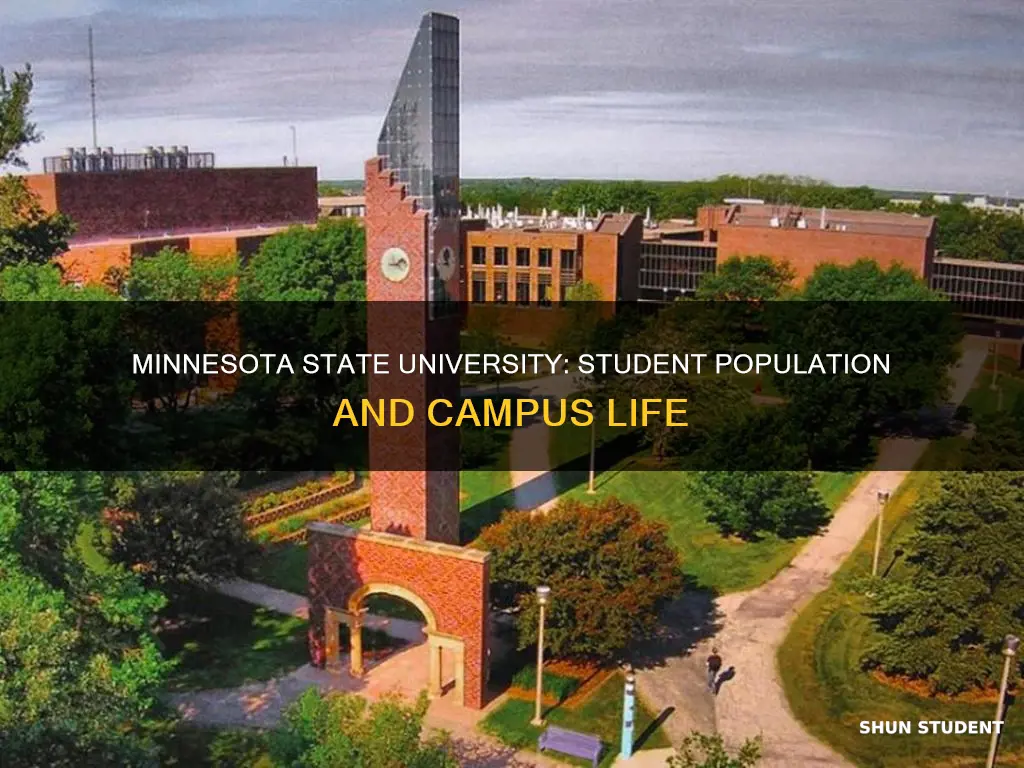 how many students attend minnesota state university