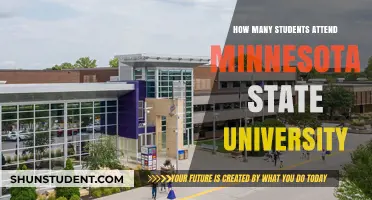 Attendee Figures for Minnesota State University: An Overview