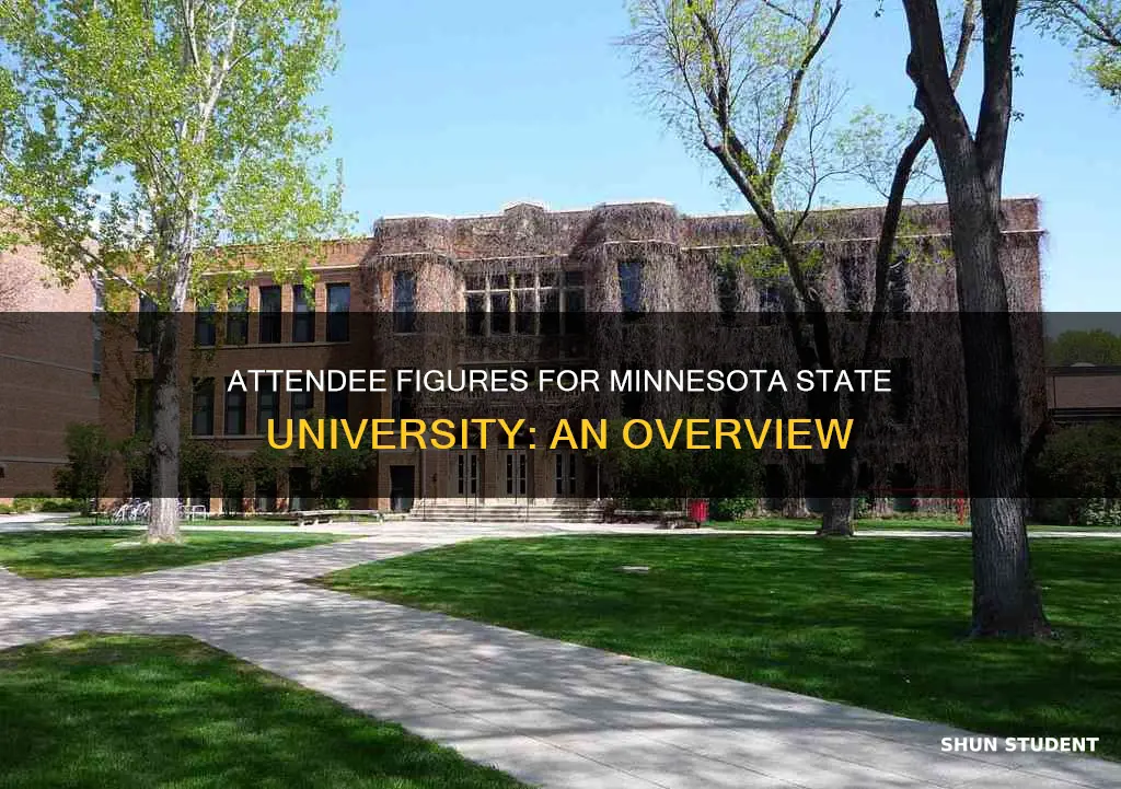 how many students attend minnesota state university