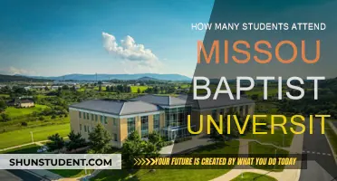 Missouri Baptist University Student Population: How Many?