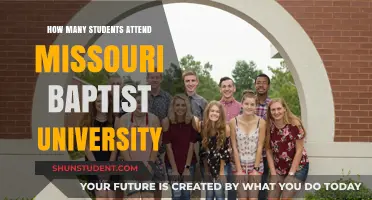 Attendee Numbers at Missouri Baptist University