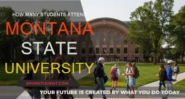 Montana State University-Bozeman: Student Population and Campus Life