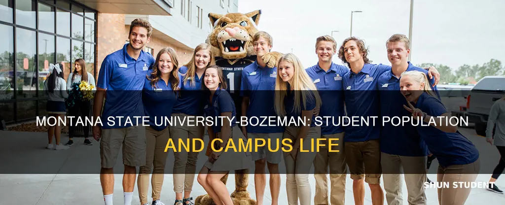 how many students attend montana state university-bozeman