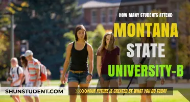Montana State University: Student Population in Bozeman