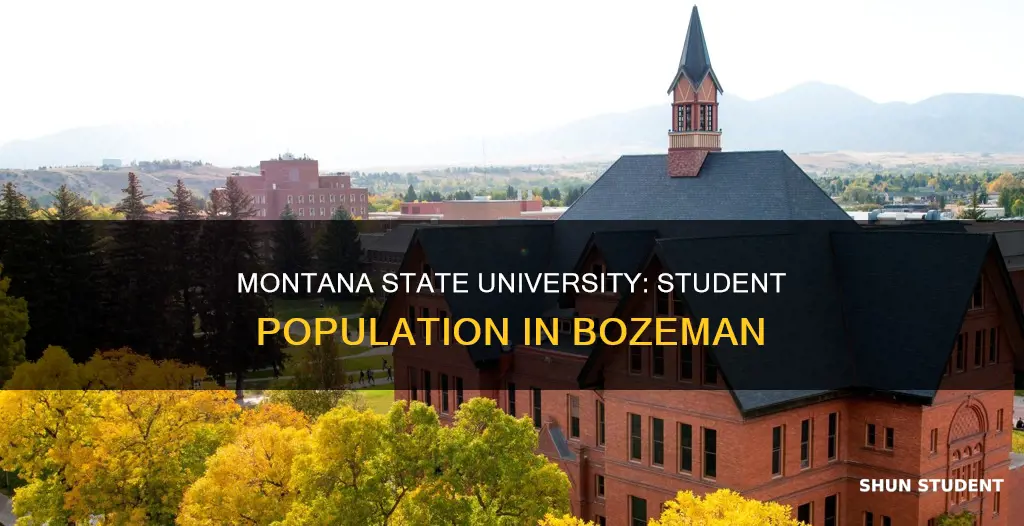 how many students attend montana state university-bozeman