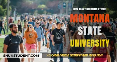 Montana State University's Student Population