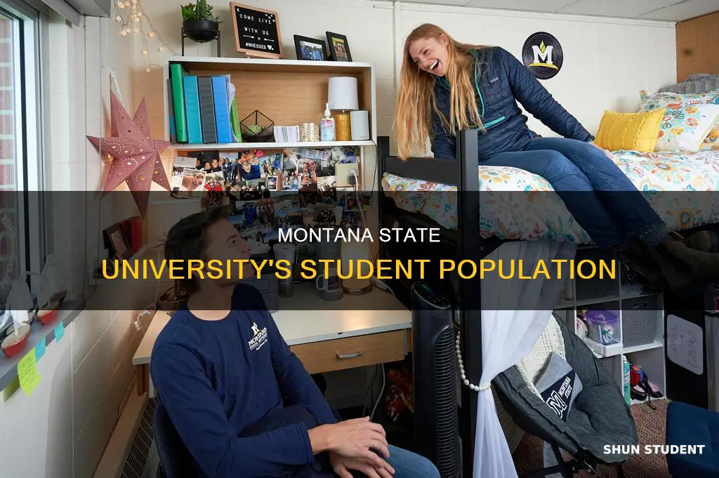 how many students attend montana state university