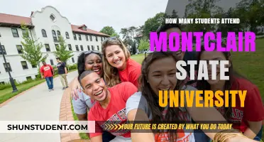 Montclair State University: Student Population Insights