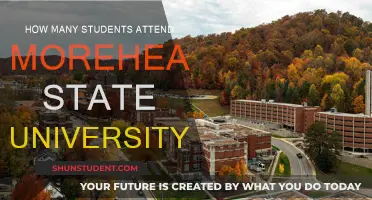 Exploring Enrollment: Morehead State University's Student Population