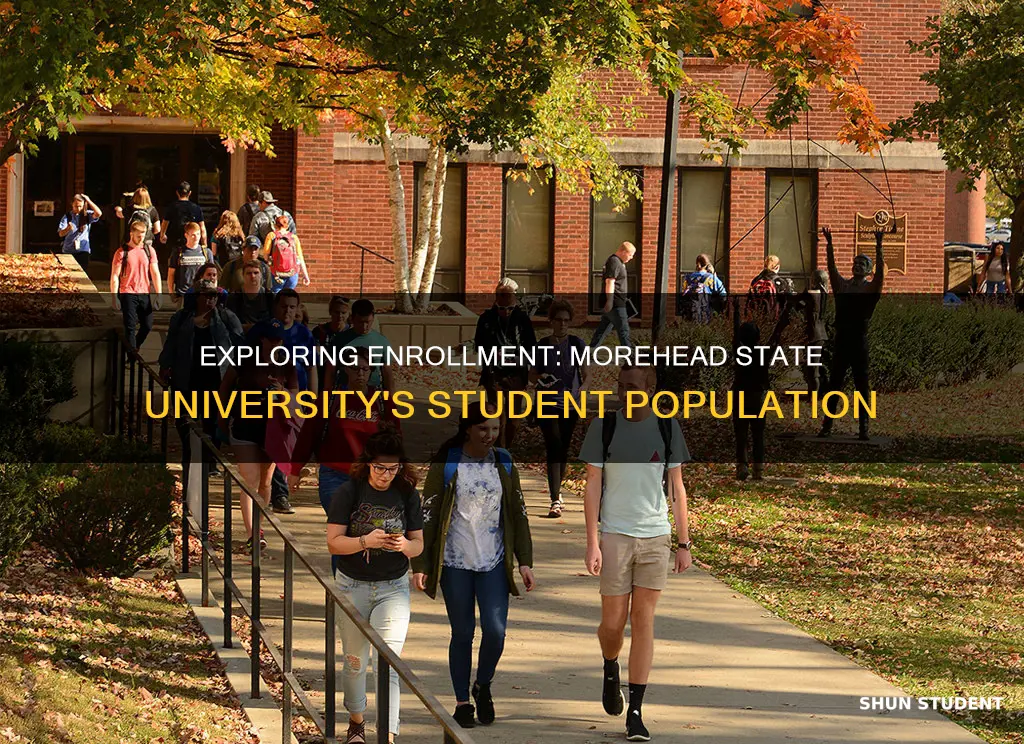 how many students attend morehead state university