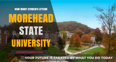 Exploring Morehead State University's Student Population