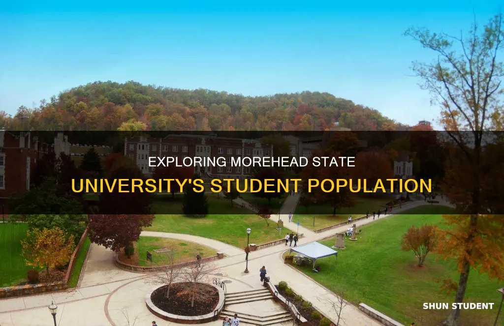 how many students attend morehead state university
