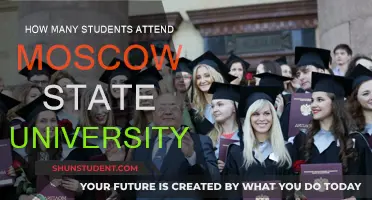 Exploring Moscow State University's Student Population