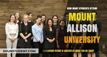 Mount Allison University: Student Population Insights