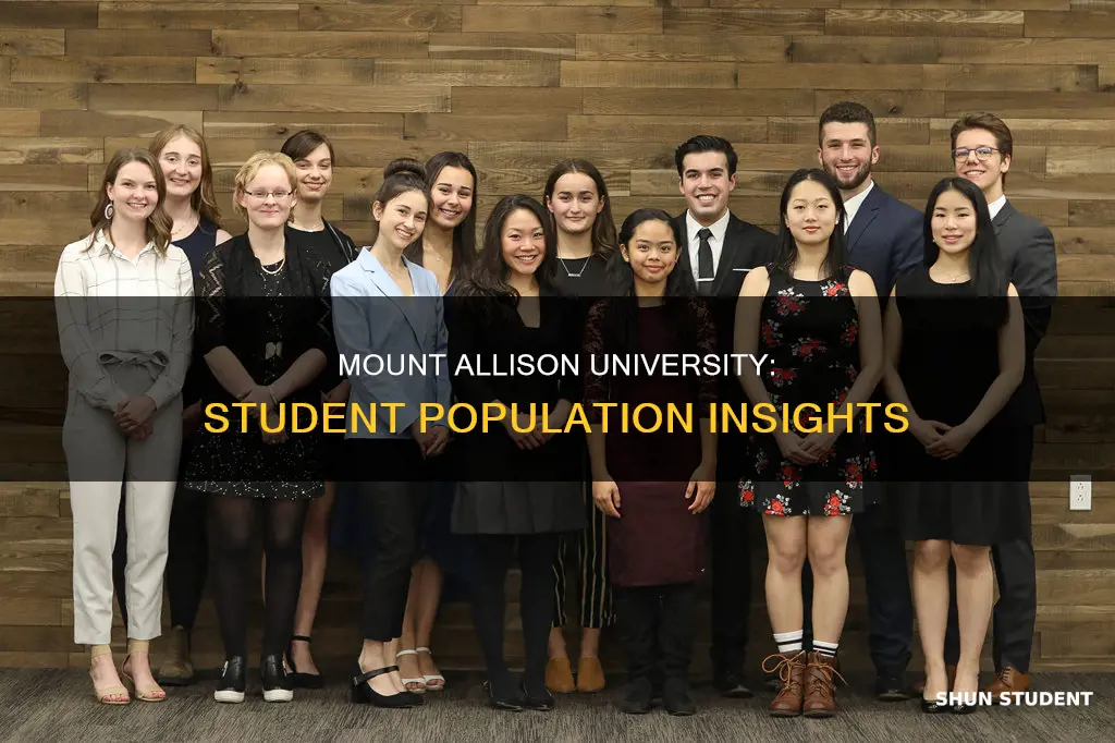how many students attend mount allison university