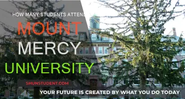 Mount Mercy University: Student Population and Insights