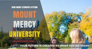 Mount Mercy University: Student Population and Insights
