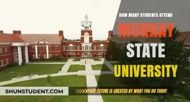 Murray State University: Student Population Insights