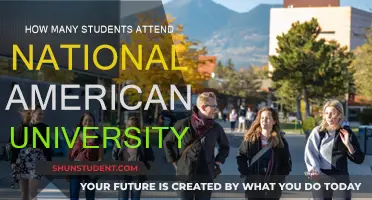 American University Student Population: How Many Attend?