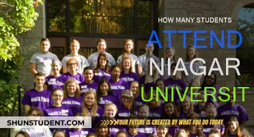 Niagara University's Student Population: A Comprehensive Overview