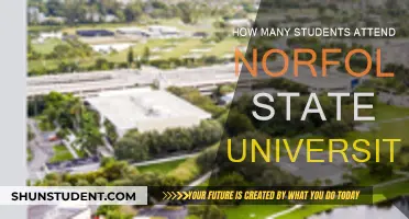 Exploring Norfolk State University's Student Population