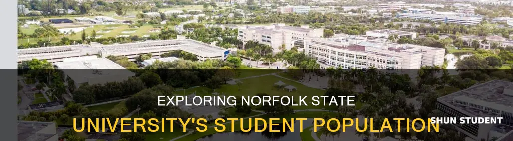 how many students attend norfolk state university