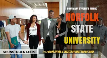 Exploring Norfolk State University's Student Population