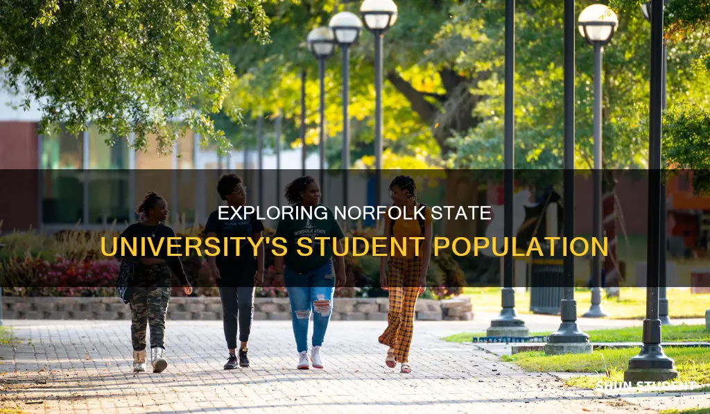 how many students attend norfolk state university