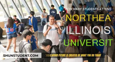 Exploring Northeastern Illinois University's Student Population