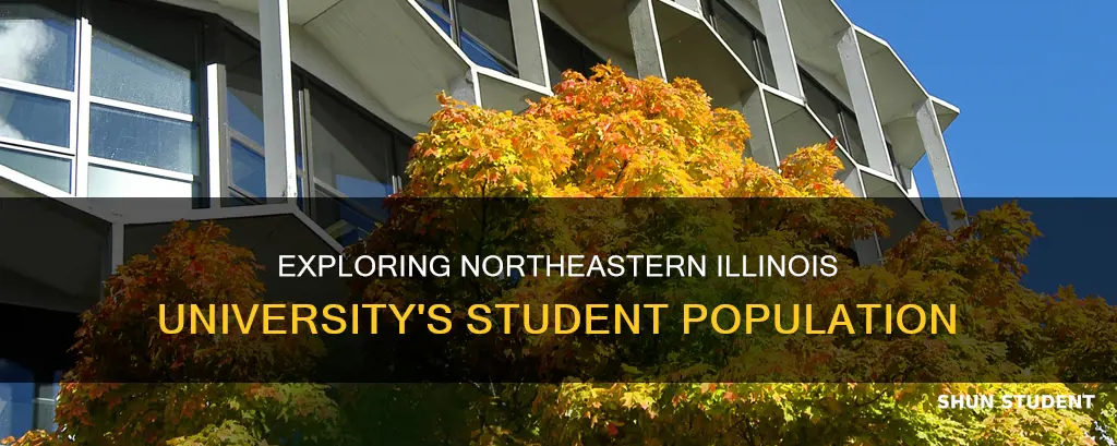 how many students attend northeastern illinois university