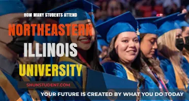 Exploring Northeastern Illinois University's Student Population