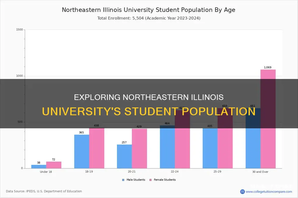 how many students attend northeastern illinois university
