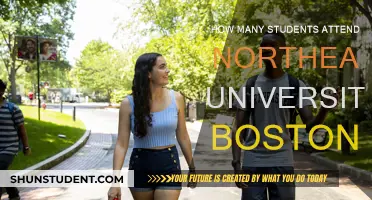 Exploring Northeastern University Boston's Student Population