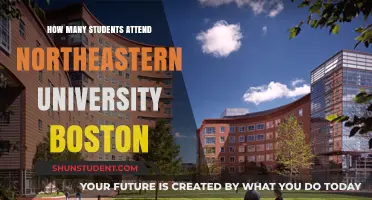 Exploring Northeastern University's Student Population in Boston