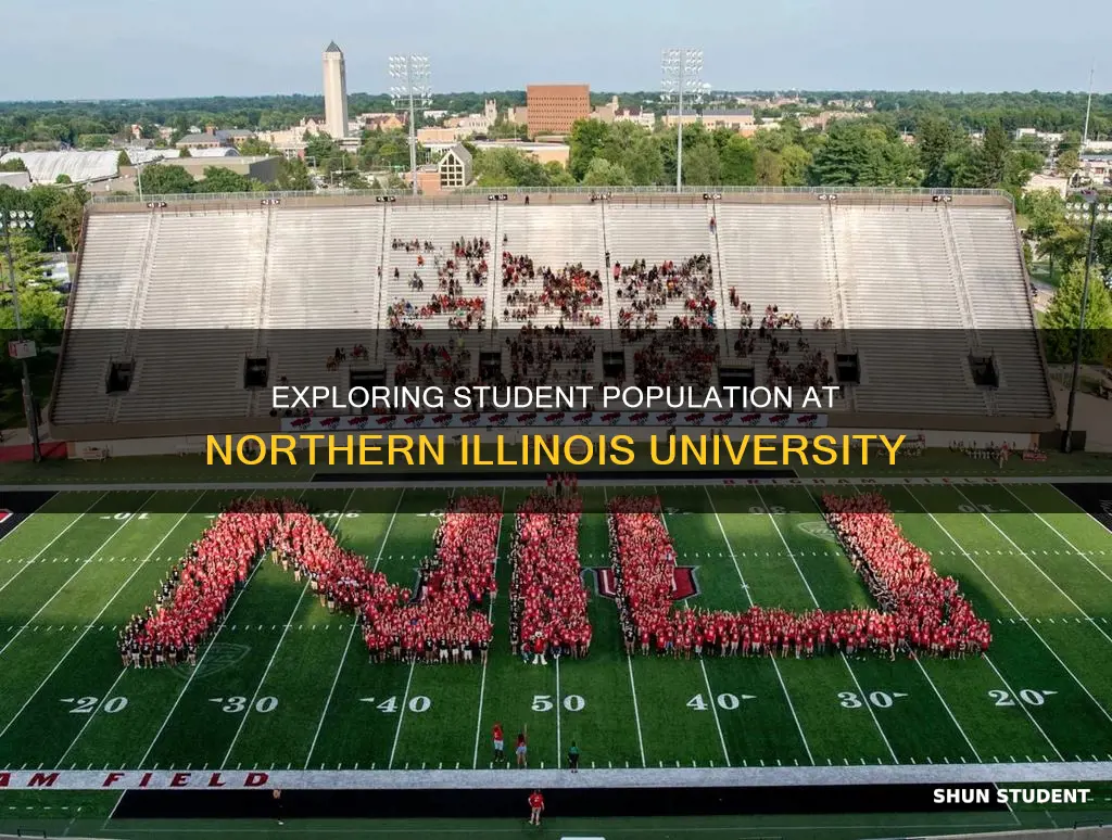 how many students attend northern illinois university