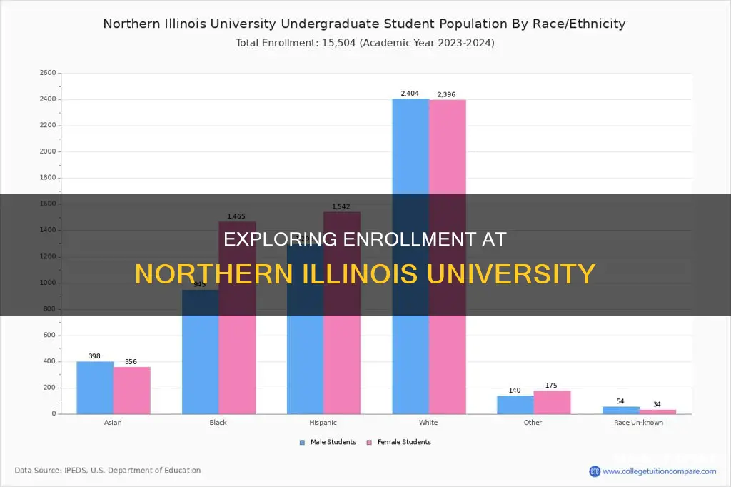 how many students attend northern illinois university