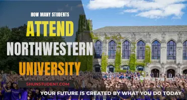 Exploring Northwestern University's Student Population