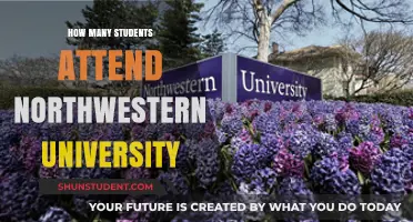Explore Northwestern University's Student Population