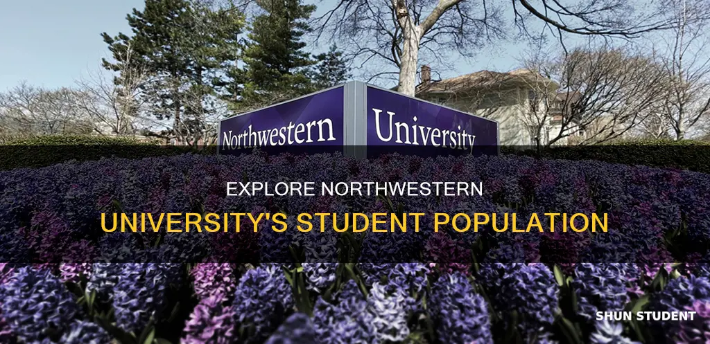 how many students attend northwestern university