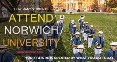 Norwich University: Current Student Population and Its Impact