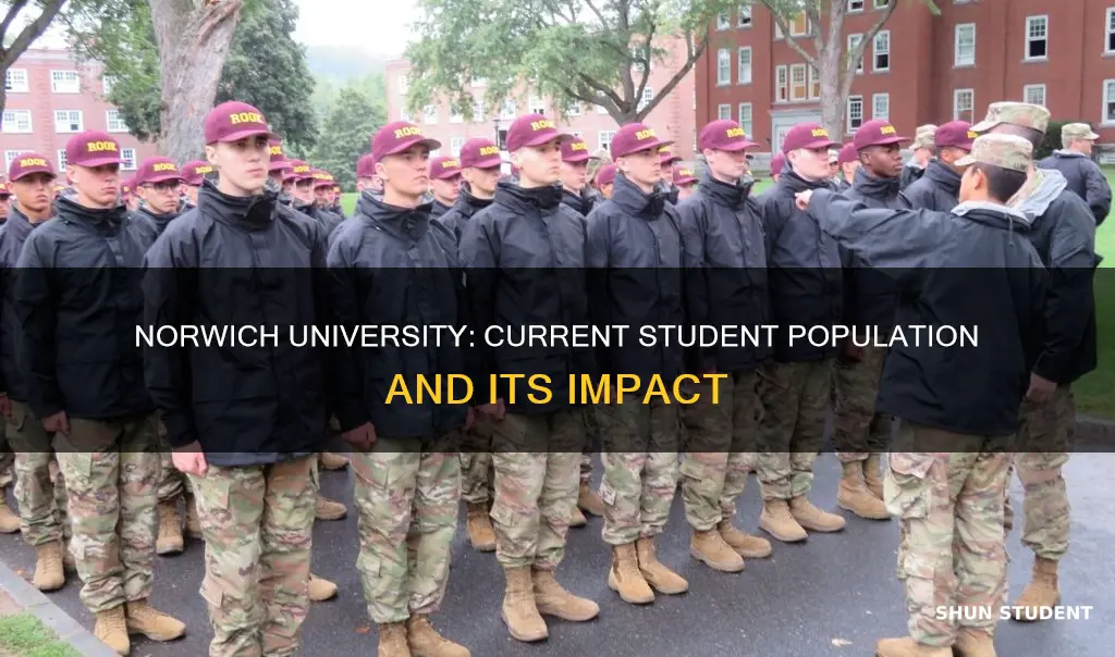 how many students attend norwich university